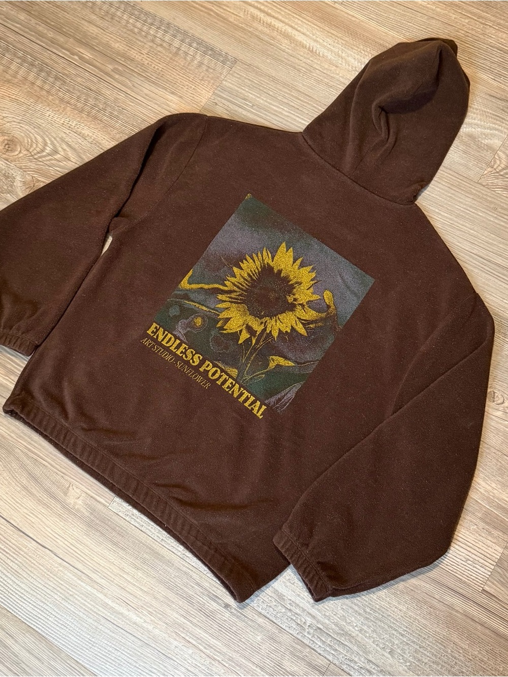 BDG Endless Potential Graphic Brown Pullover Hoodie